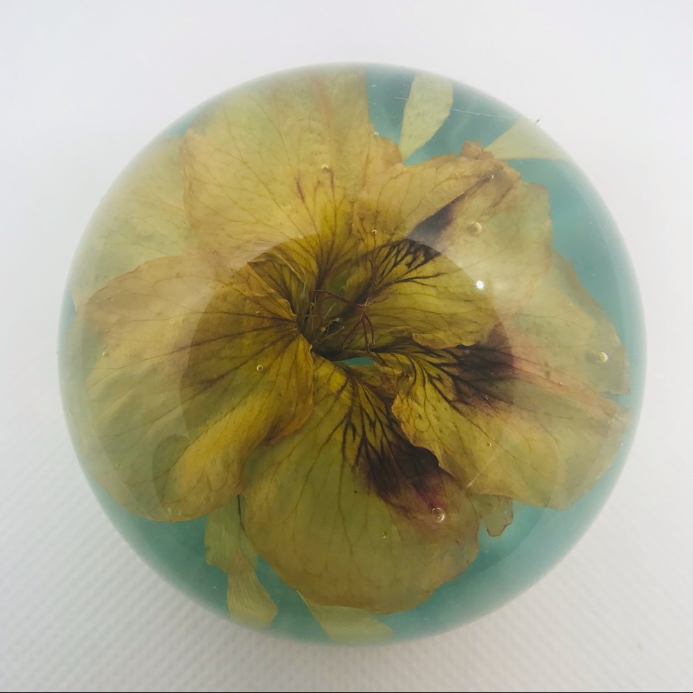 Paperweight - Picture 2 of 5